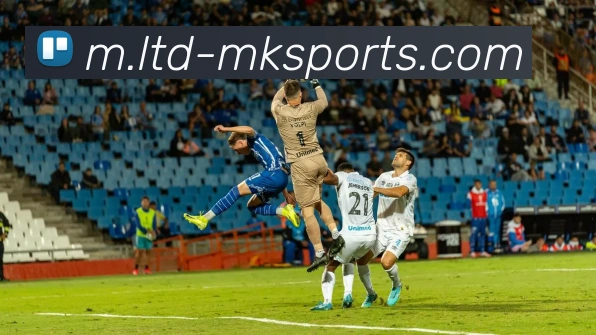 球赛投注品牌故事