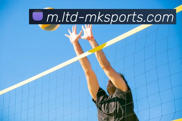 球赛投注服务体系